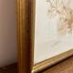 tableau vintage algues naturelles