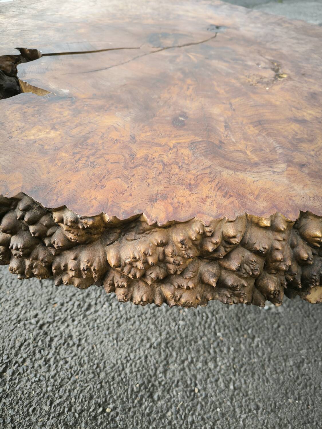 Brutalist coffee table in solid elm burl 108 cm diameter