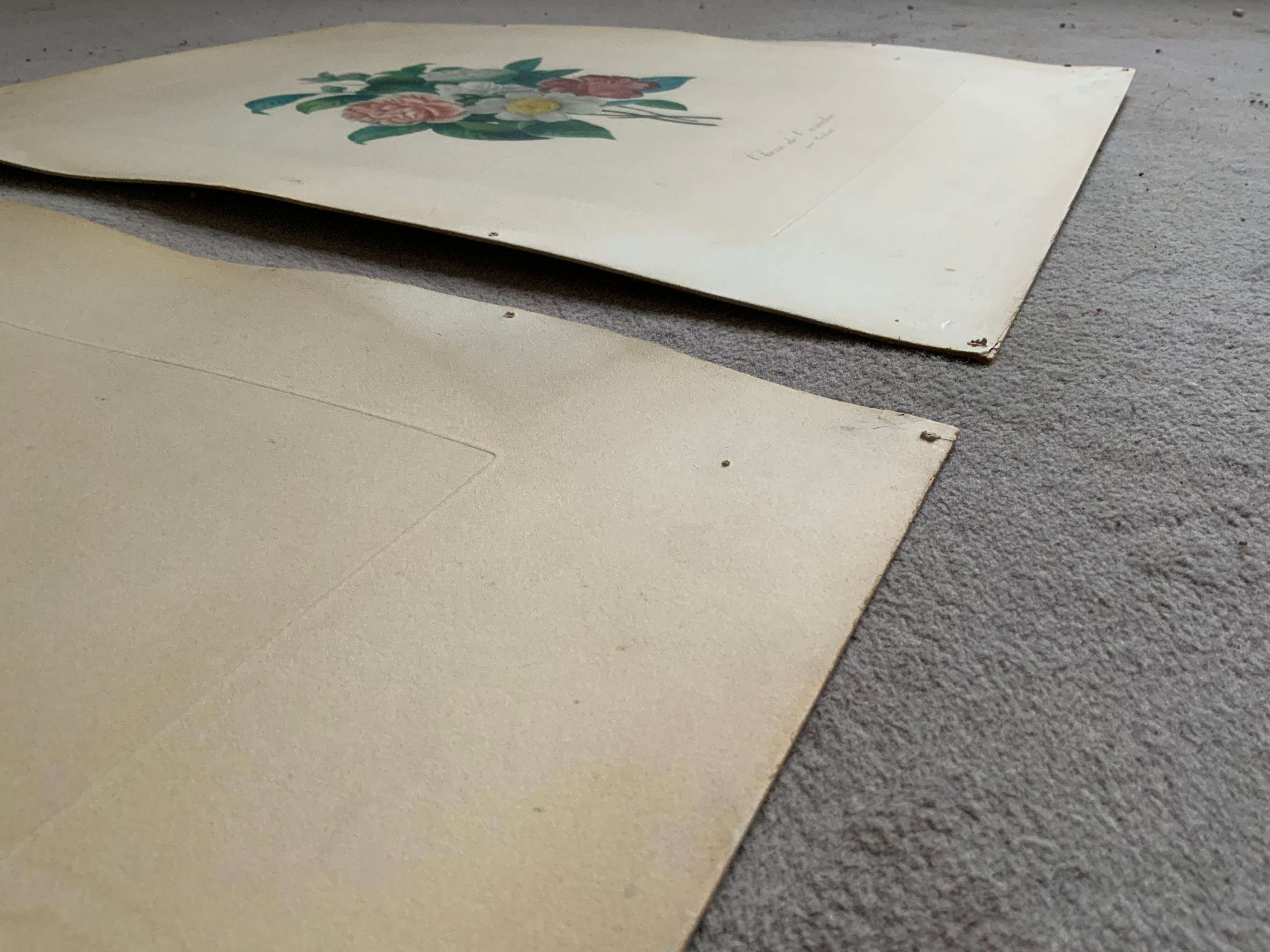 Pair of plates or botanical engravings XVIII