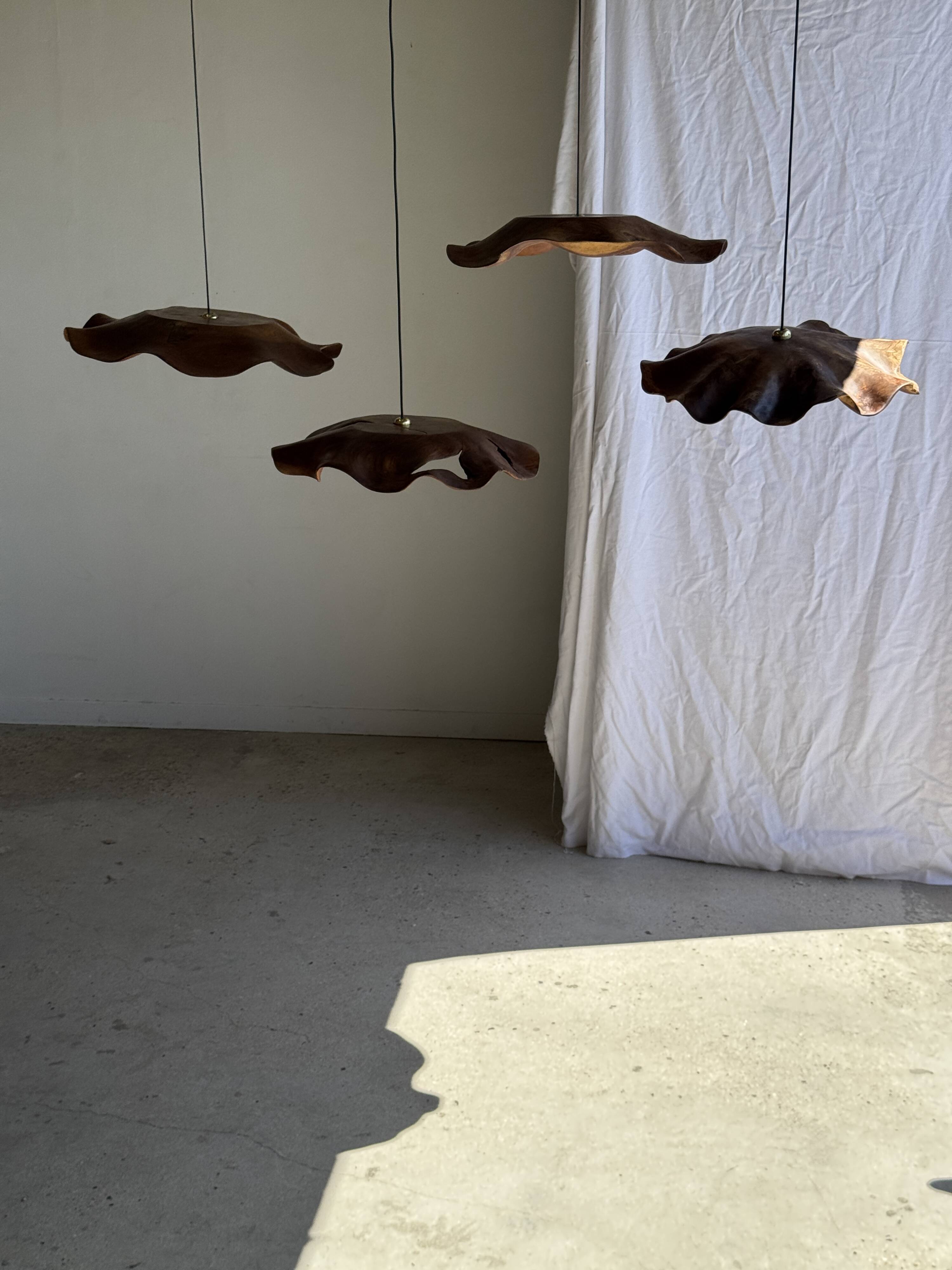 Very large wavy flat leaf suspension in smooth teak D:60