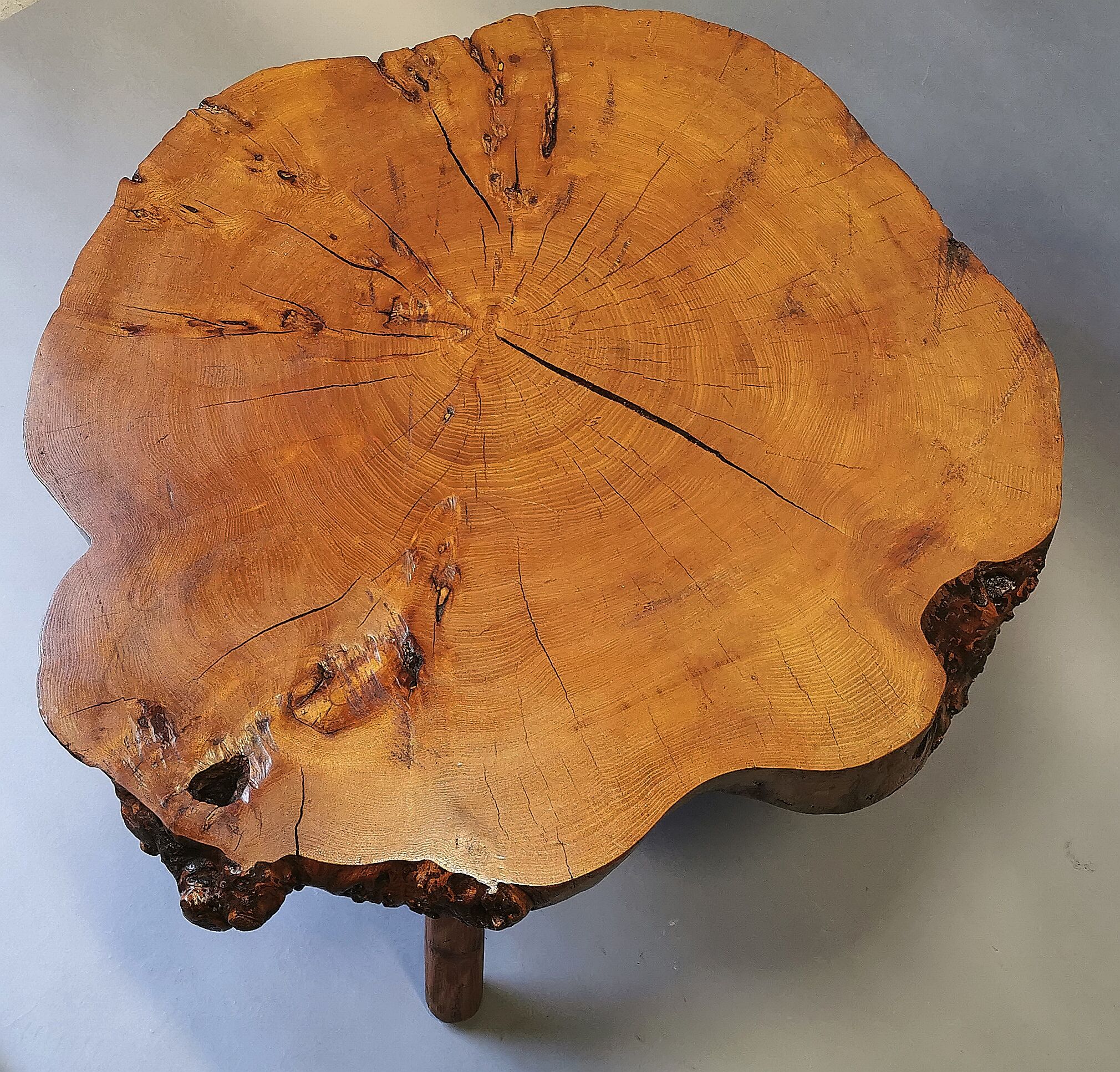 Coffee table elm tree trunk 70s
