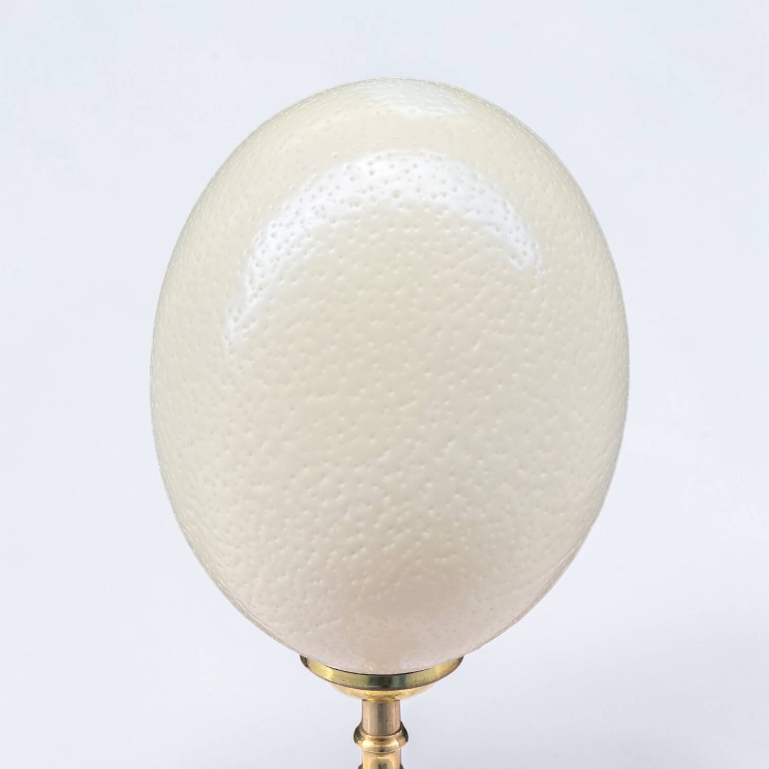 Oeuf D'autruche Décoratif Sur Socle En Bronze Ciselé - XXe Siècle - Hauteur 32cm - Blanc