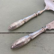 Silver fish cutlery