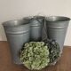 Pot en zinc de fleuriste