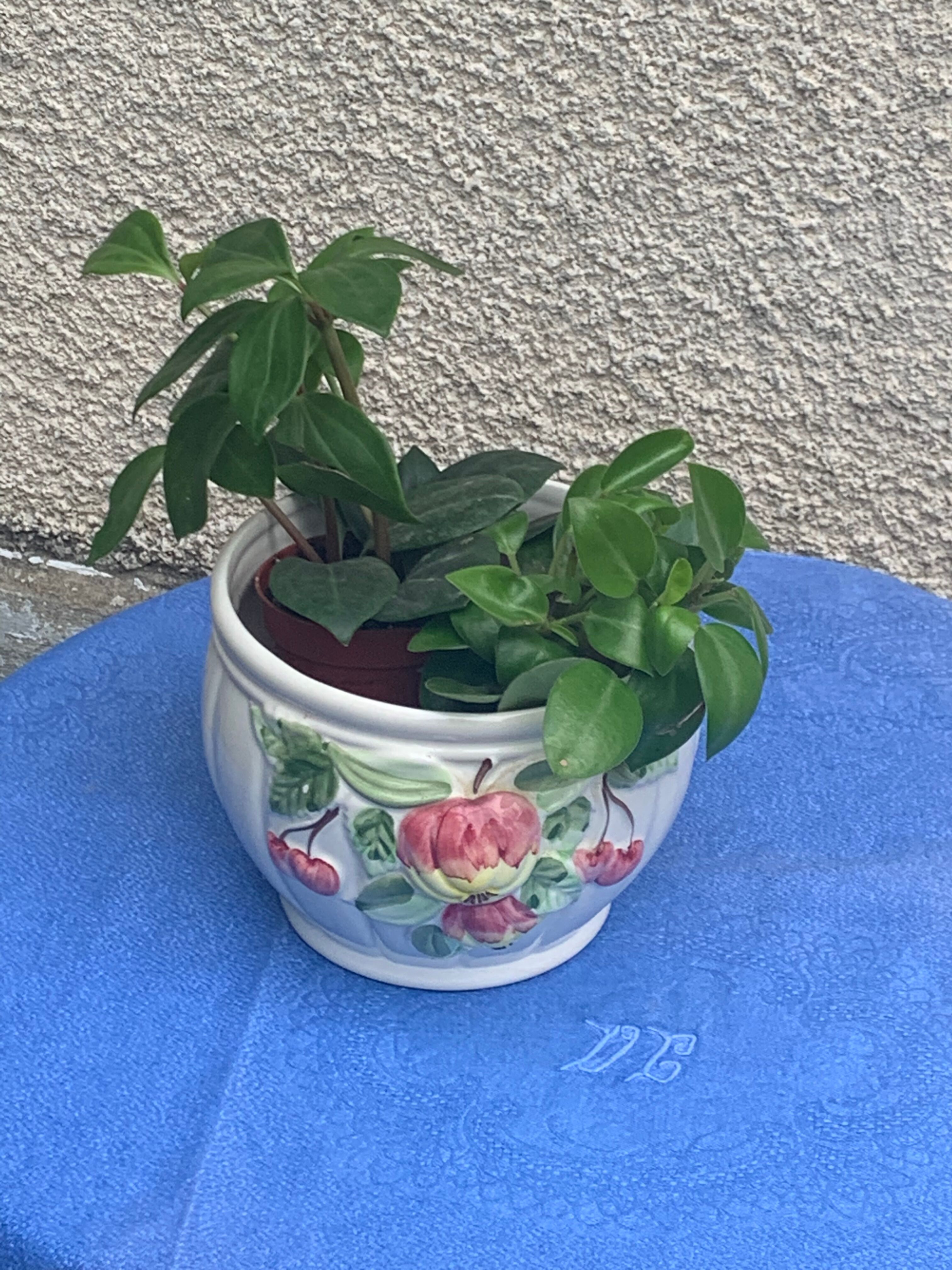 White glazed ceramic pot cover slurry vintage fruit