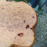 Table basse tronc d'arbre en loupe d'orme