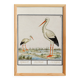 Poster of the stork, based on an old engraving from 1610.