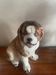 Ceramic St Bernard Dog