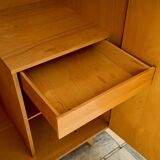 Armoire du milieu du siècle Jiroutek U486