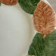 8 Bordallo Pinheiro plates