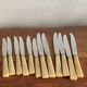 12 Apollonox knives in Bakelite