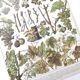 Lot deux Planches lithographies sur les maladies de la vigne 1900