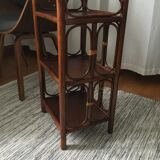 Rattan shelf