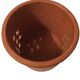 Garlic pot