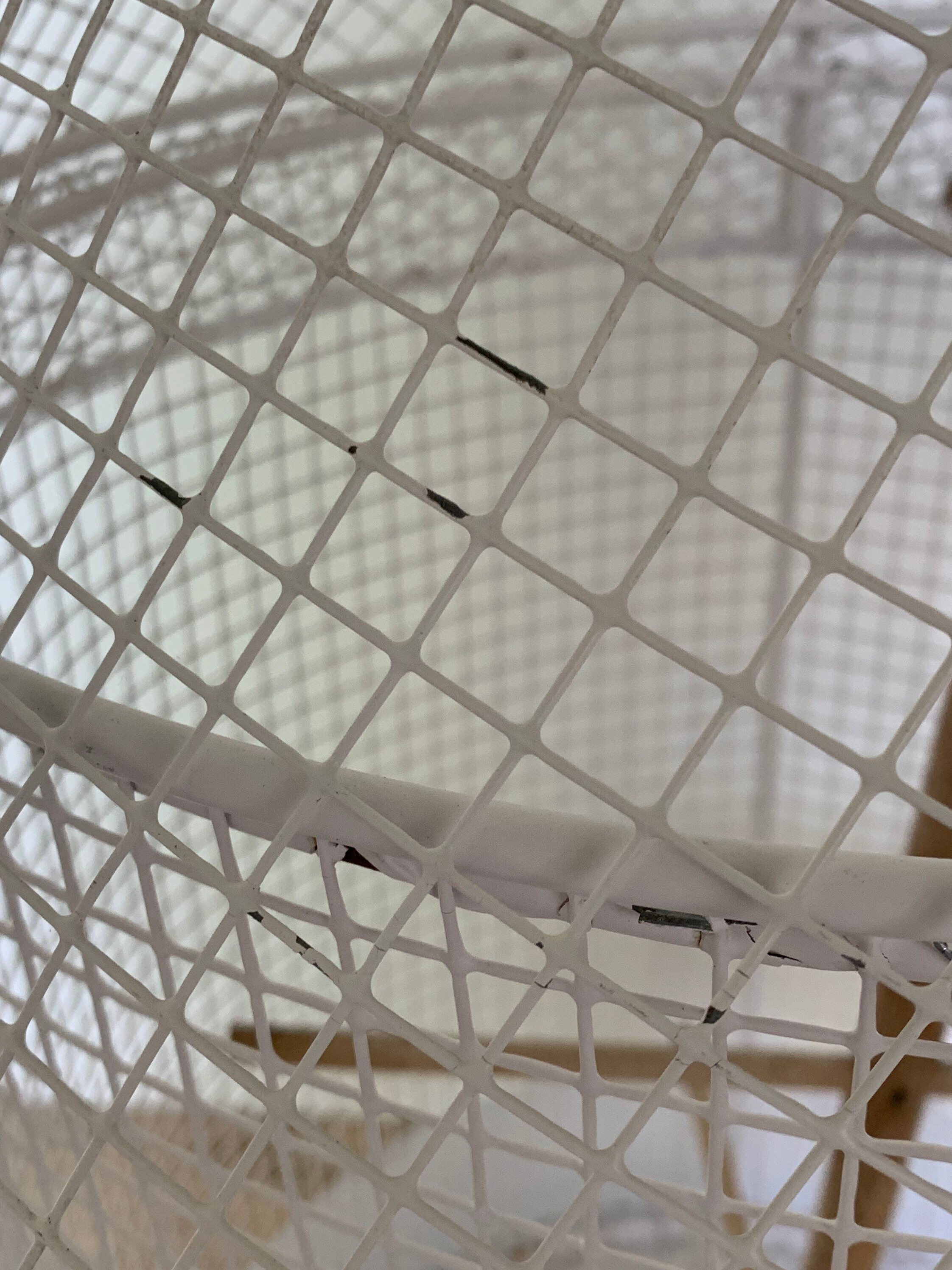 Vintage Rolling Tripod Bird Cage