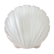Applique verre coquille