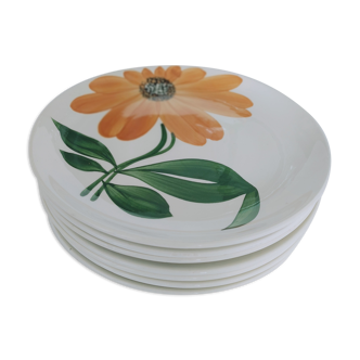 Dessert plates