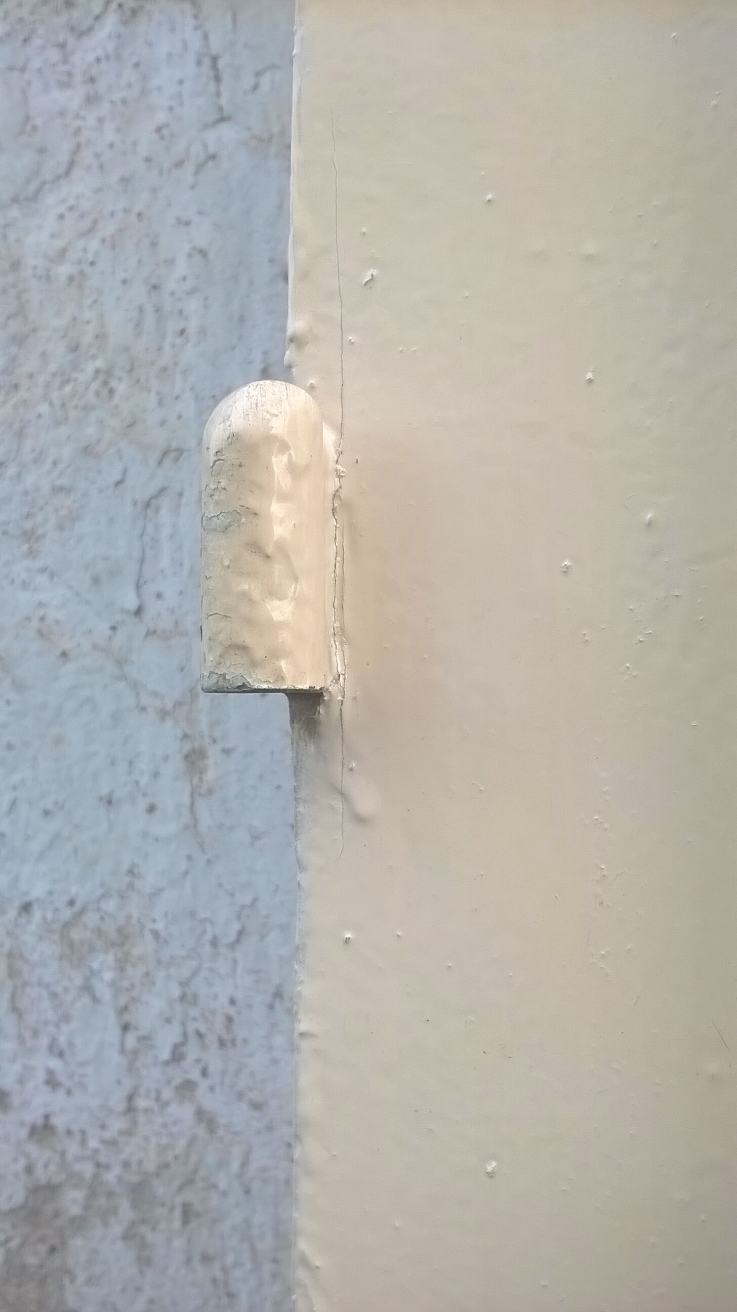 Old Haussmann double doors