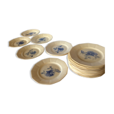 Assiette plats roses bleus