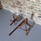 Old Baumann style parrot coat rack
