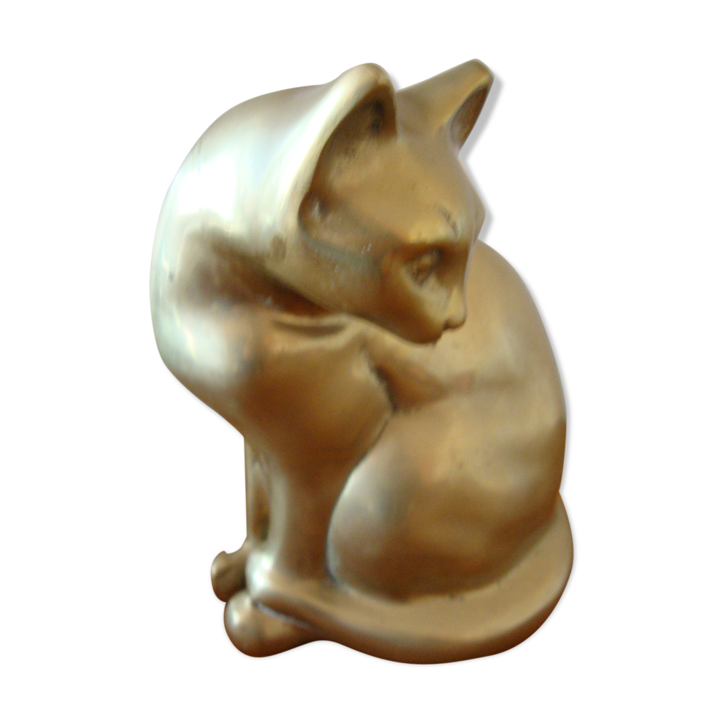 Cat sitting in brass