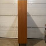Vintage library/display cabinet