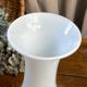 Pair of white opaline vases