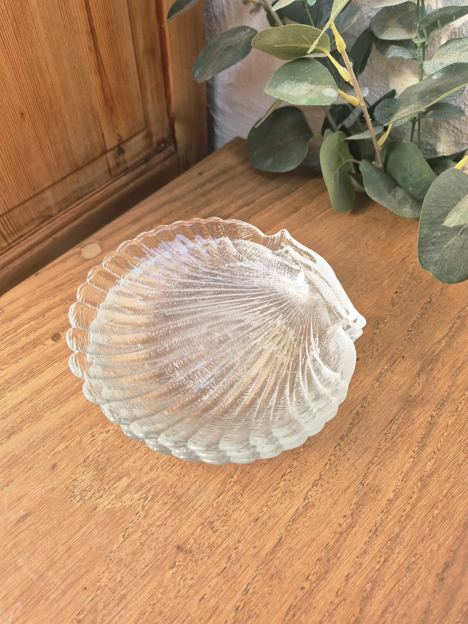 coupelles coquillage vintage