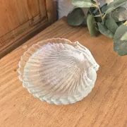 coupelles coquillage vintage
