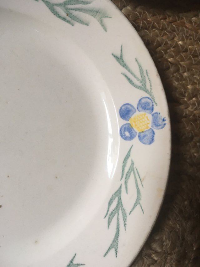 Set old flat plates flowered