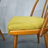 1960s Antonin Suman beech dining chairs, set of 4