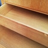 Scandinavian Secretary 1960