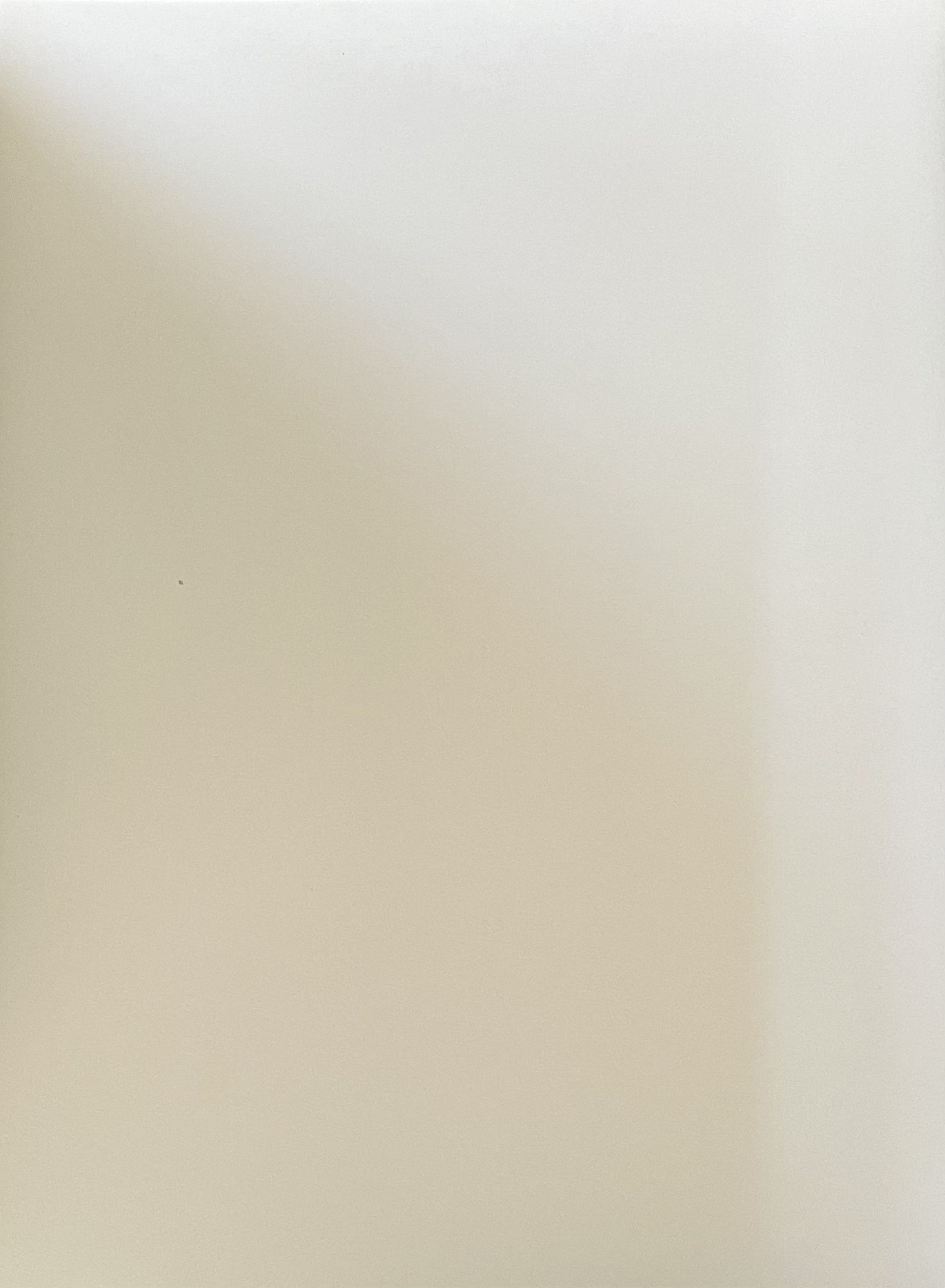 Photograph black and white silver print circa 1970 vaulted church