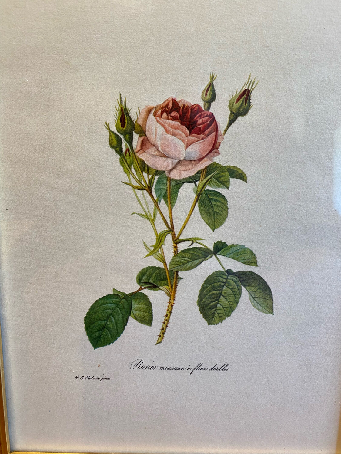 Set of decorative frames