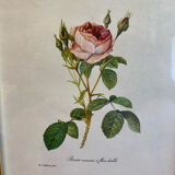 Set of decorative frames