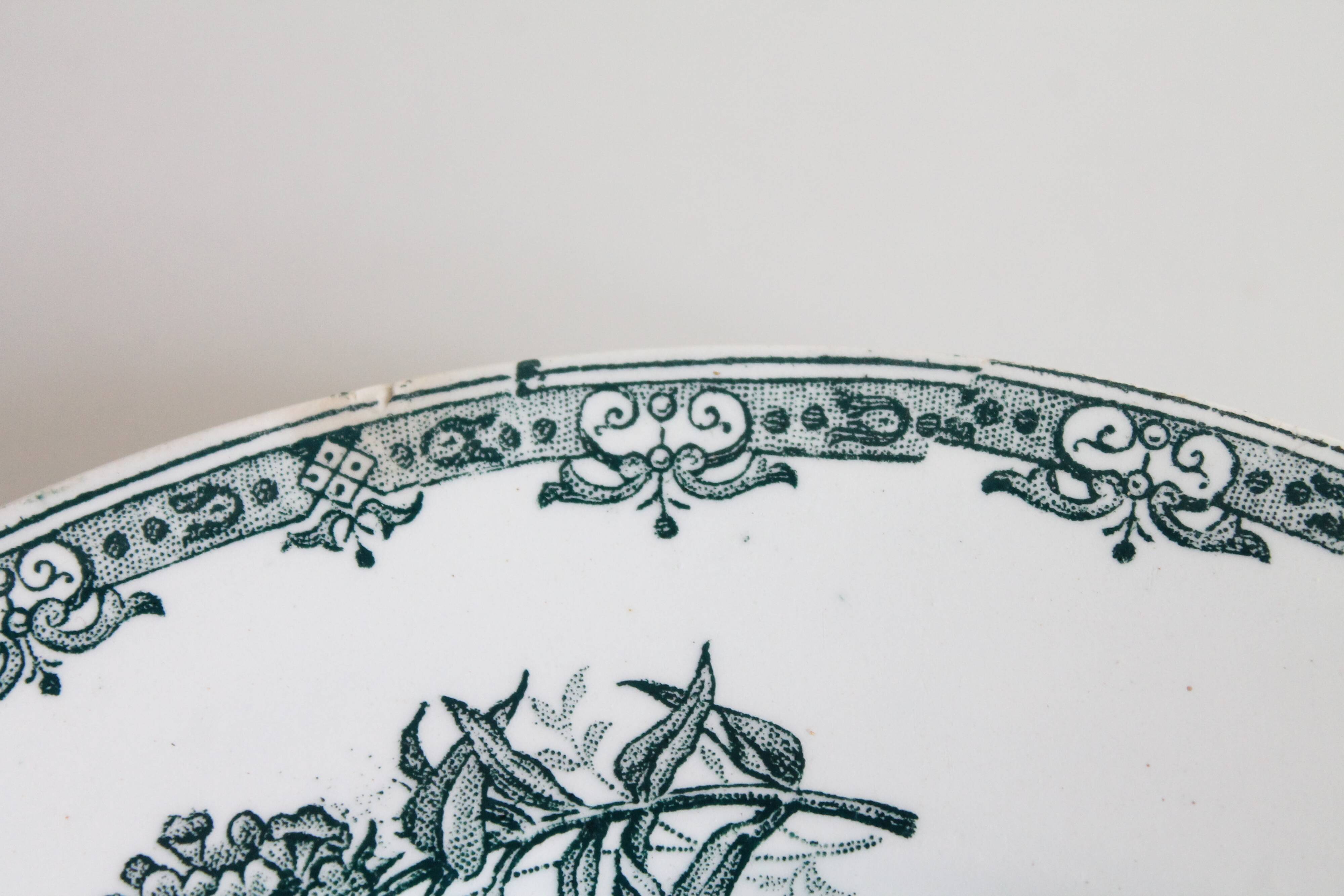 Antique flower plates DAISY St Amand x 2