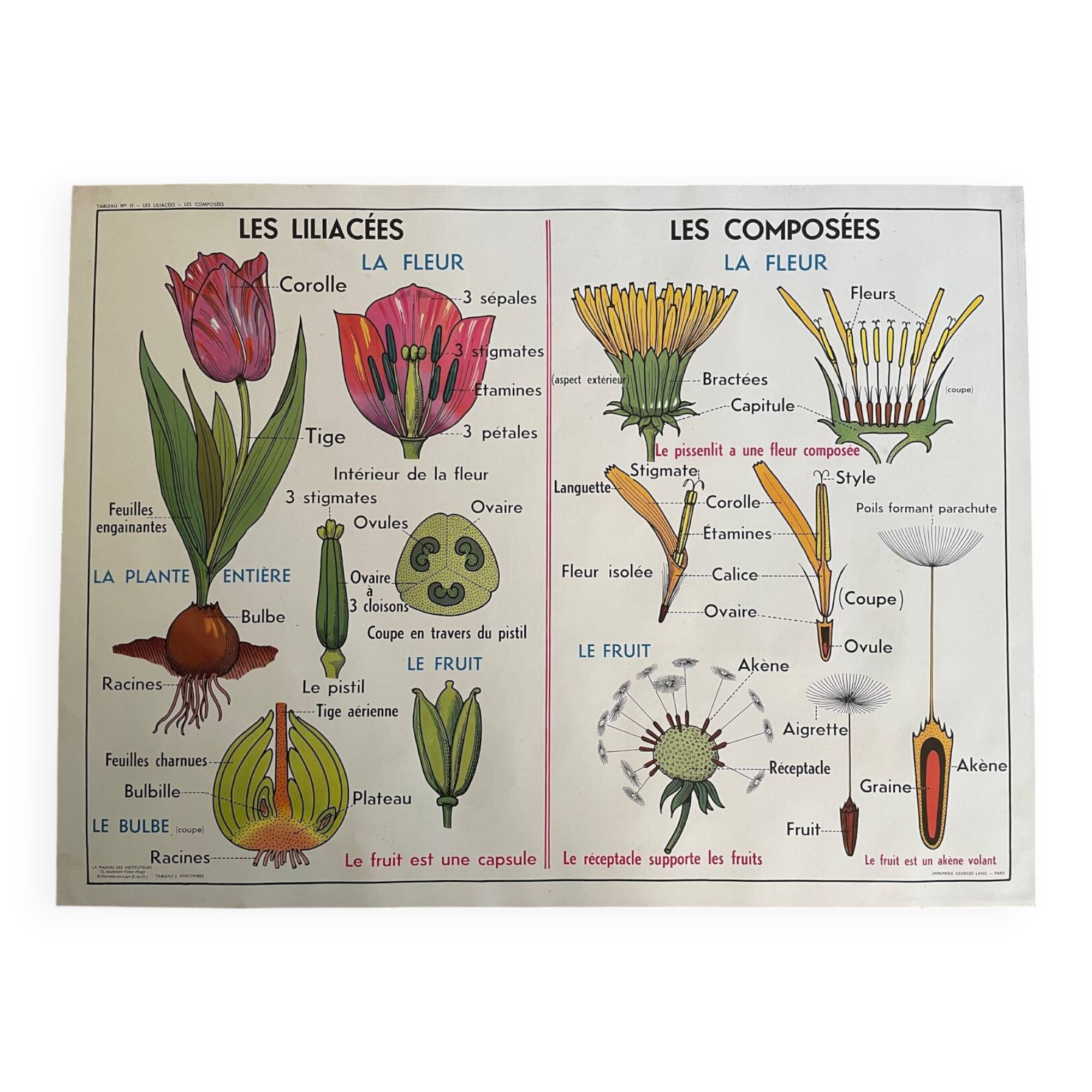 Ancienne affiche pédagogique scolaire école