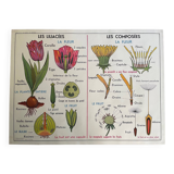 Old school educational poster