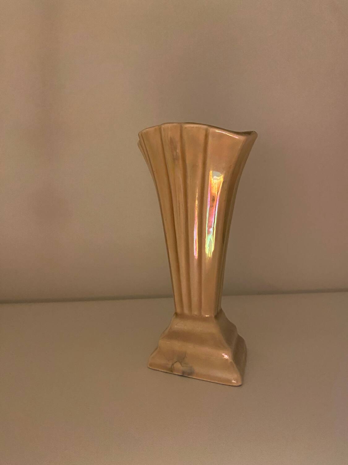 Beige shell vase