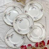 5 Vintage Longchamp Chantilly Porcelain Dinner Plates - Bird Motif