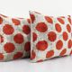 Paire de coussins