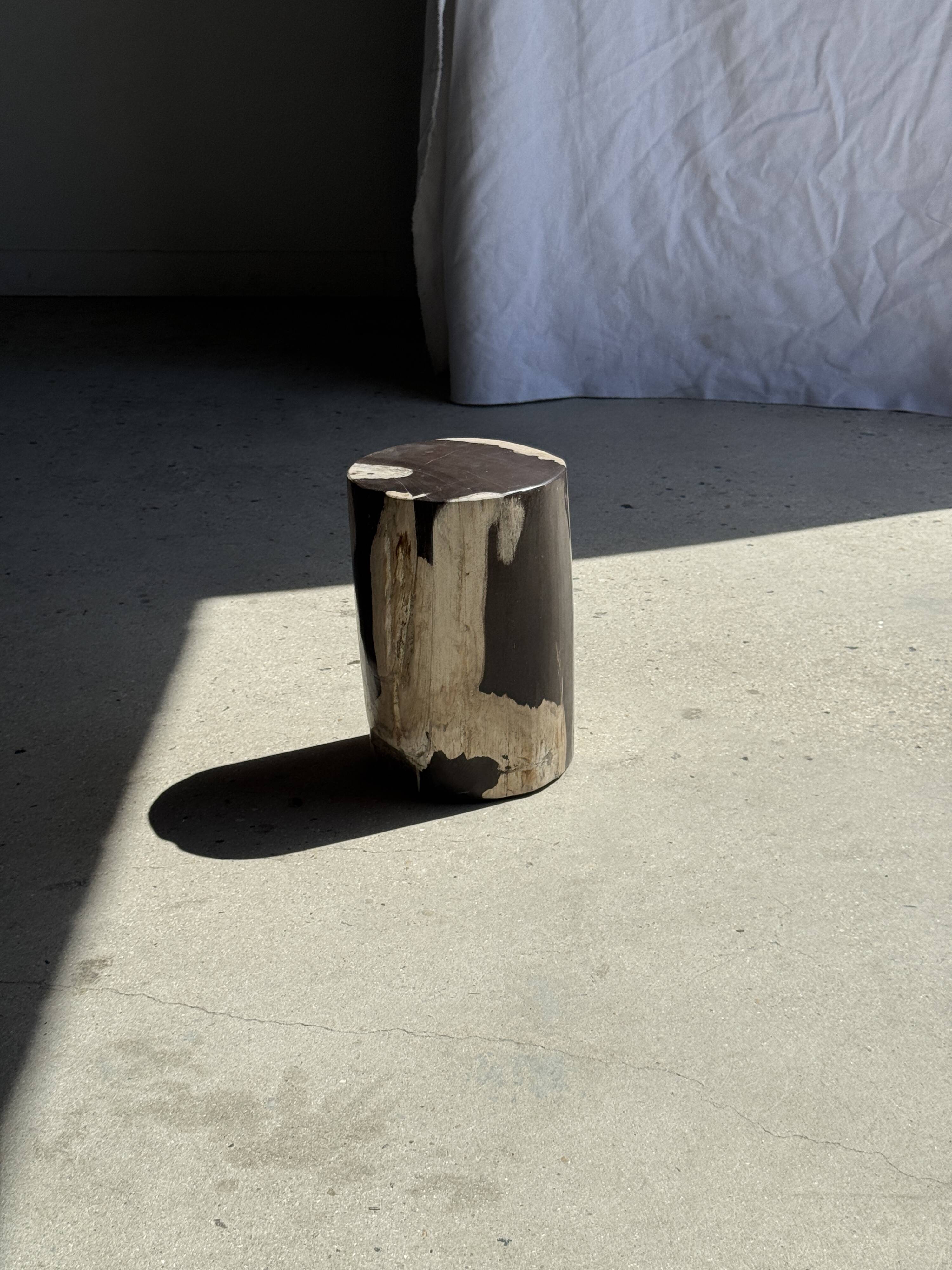 Small side table in black and white petrified wood H28 D18