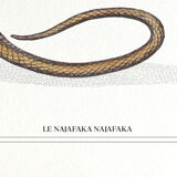 Set of 3 chimera lithography animal engraving