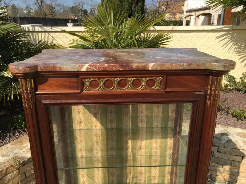 Mahogany Showcase - Bronze Golden Style Louis XVI