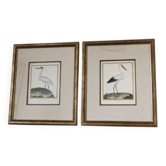 pair of animal engravings