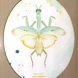 Large mantis frame