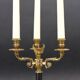 Pair of Chandeliers/Candelabra in Solid Bronze Empire Style Caramel Patina