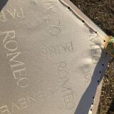 6 louis XVI hot air balloon chairs