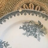 6 plates iron earth St Amand Margot.