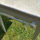 Table blanche